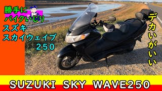 31915km ★始動動画あり★  スカイウェイブ CJ43A ビッグスクーター ビックスクーター】スズキ スカイウェイブ250に乗ってみた - YouTube