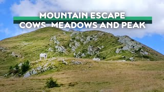 Echoes of the Alps: Cowbells Peaks Relaxation Break| Gentle sounds of distant bells serene ambiance