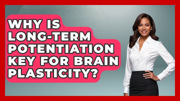 Why Is Long-term Potentiation Key For Brain Plasticity? - Brain Development Hub