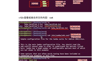 14 软连接、硬链接、grep、cp、mv