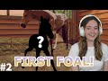 OUR FIRST FOAL! Rags to Riches Rival Stars - Episode #2 | Pinehaven