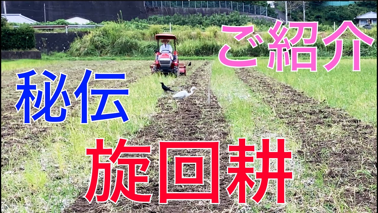 2024 米作り39】秘伝の耕運を新たに自称『旋回耕』と名付けたぞ