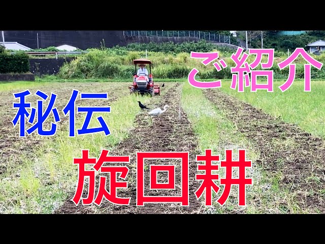 田んぼ　農業　ころがし 田ころがし〜🌾 – わんぱく自然農園