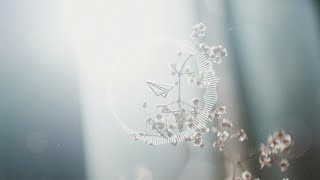 Daydream - Kei Morimoto (Official) 『フリーBGM』