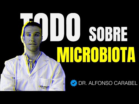Microbiota y Salud Digestiva: Cómo Evitar Gases, Hinchazón y Mejorar tu Bienestar