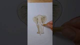 Draw Elephant #Springonshorts