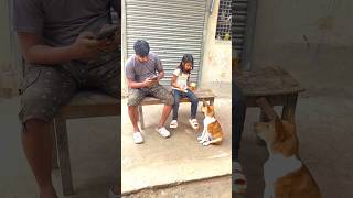 Warning: If you laugh, you lose 🤣”#TryNotToLaugh #NoLaughChallenge #FunnyVideos #LaughChallenge