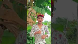 Download Lagu lagal piswan paani,🤙❤️ #trendingshorts MP3