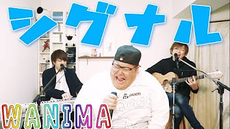 Top Covers Wanima Youtube Top Covers Wanima Youtube