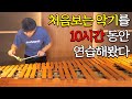 10시간동안 생전 처음보는 악기를 연습하면 실력이 얼마나 늘까? feat.관짝밈, 나비보벳따우 [10시간의 법칙 - 마림바 with 펄스 퍼커션]