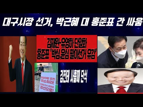 대구시장 선거, 박근혜 대 홍준표 간 대결, 김재원 유영하에 단일화 제안 <strong>친박</strong> 반홍으로 결집