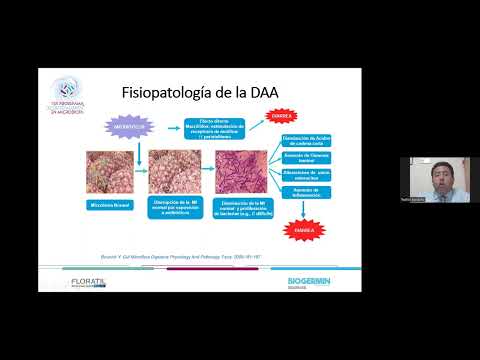 DIARREAS POR ANTIBIÓTICOS
