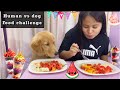 Human vs Dog food challenge (golden retriever) | watch till the end who won the challenge👻