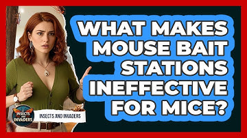 What Makes Mouse Bait Stations Ineffective For Mice? - Insects and Invaders