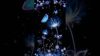 Spring blue stars butterfly flower Animated