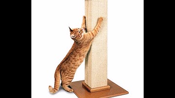 Smartcat Ultimate Scratching Post Review