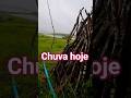 24 de maio de 2026