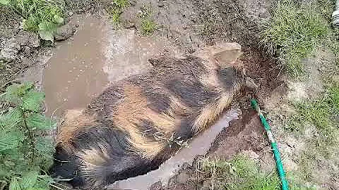 Proč se žena chce seznámit se mužem?