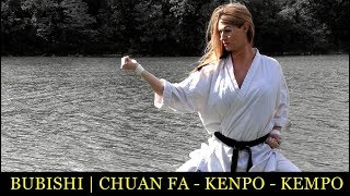 Bubishi | The Difference Between Chinese Kenpo & Japanese Kempo
