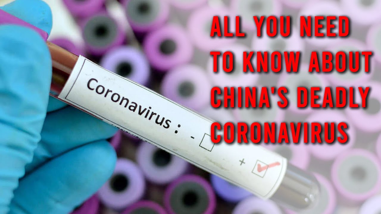 All you need to know about deadly coronavirus