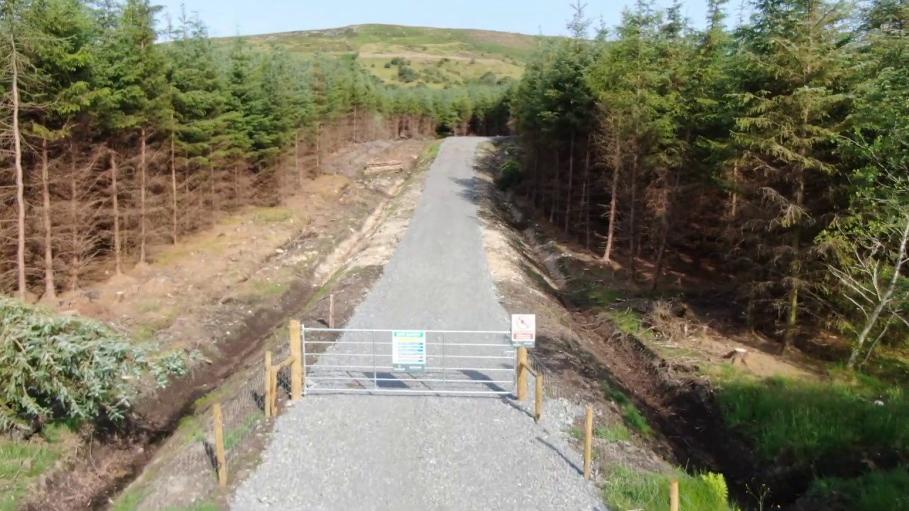 Arbor Forest Management YouTube