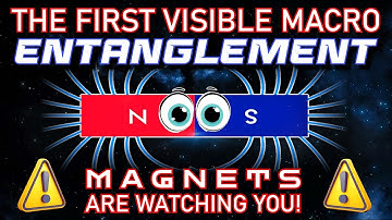 Magnetic Entanglement Exists - The First Macroscopic Evidence of Relational Quantum Geometry