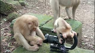 VID20250905162409 play