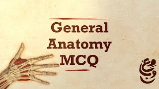 8  C Nervous System Anatomy    تشريح الجهاز العصبي MCQ