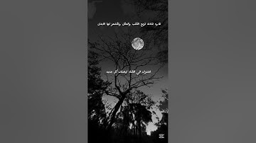 خشوع يبكي القلوب . تلاوة خاشعة تلامس أعماق الروح بصوت نقي وبدون مؤثرات صوتية