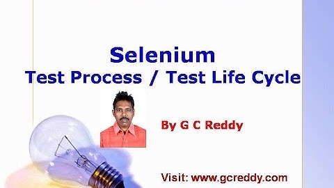 Selenium Test Process / Selenium Life Cycle - New Version