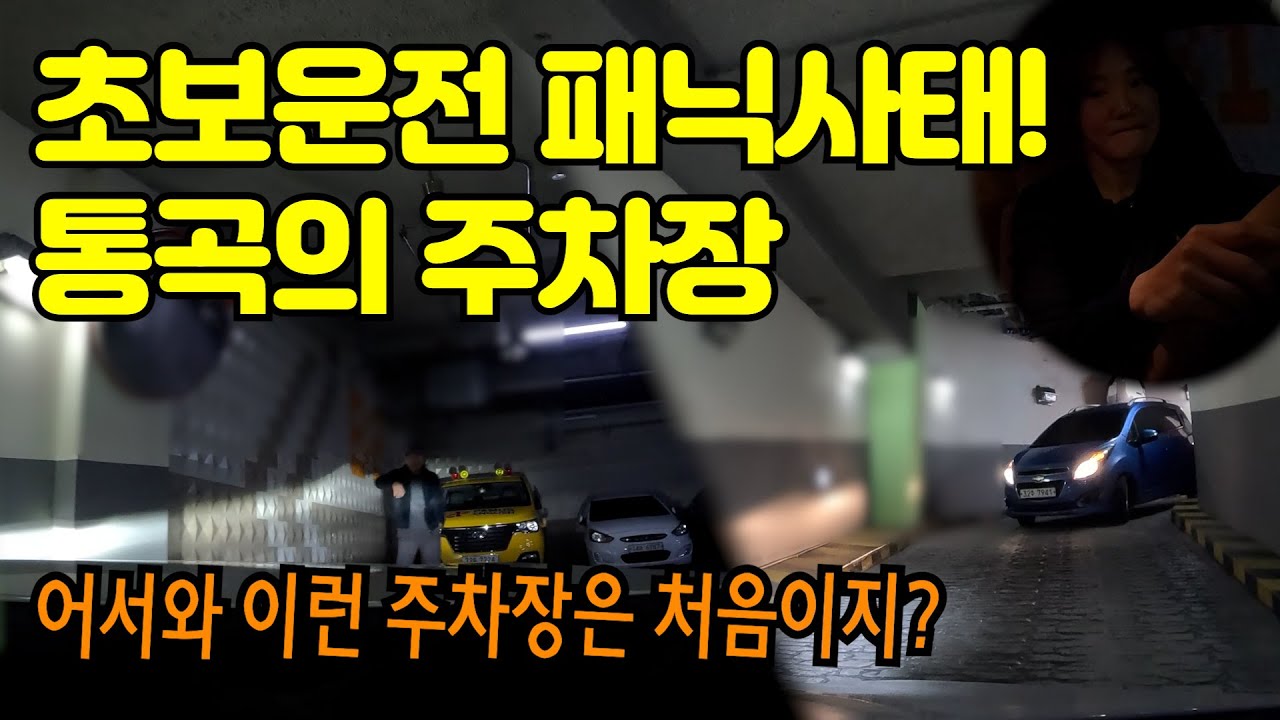 ✨초보운전연수✨ _ 누가 세종시는 신도시라 주차하기 편할거라 그랬죠?? / 초보운전을 패닉에 빠뜨린 지하주차장 ㄷㄷ(세종시 추엄마님 with 볼보 S60)