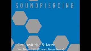 Cerf Mitiska Jaren - You Never Said Rowald Steyn Remix