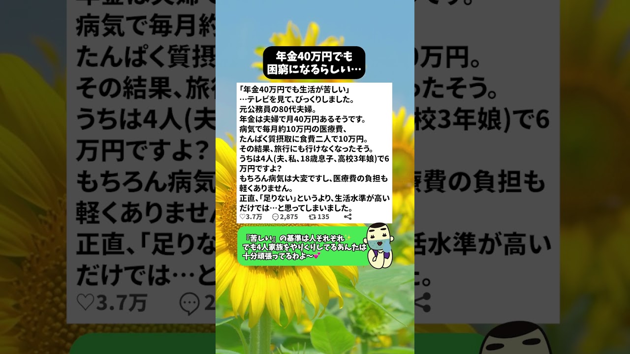 年金40万円でも困窮になるらしい…#年金 #年金生活 #老後 #老後資金 #家計 #物価高 #節約 #社会保障 #ニュース