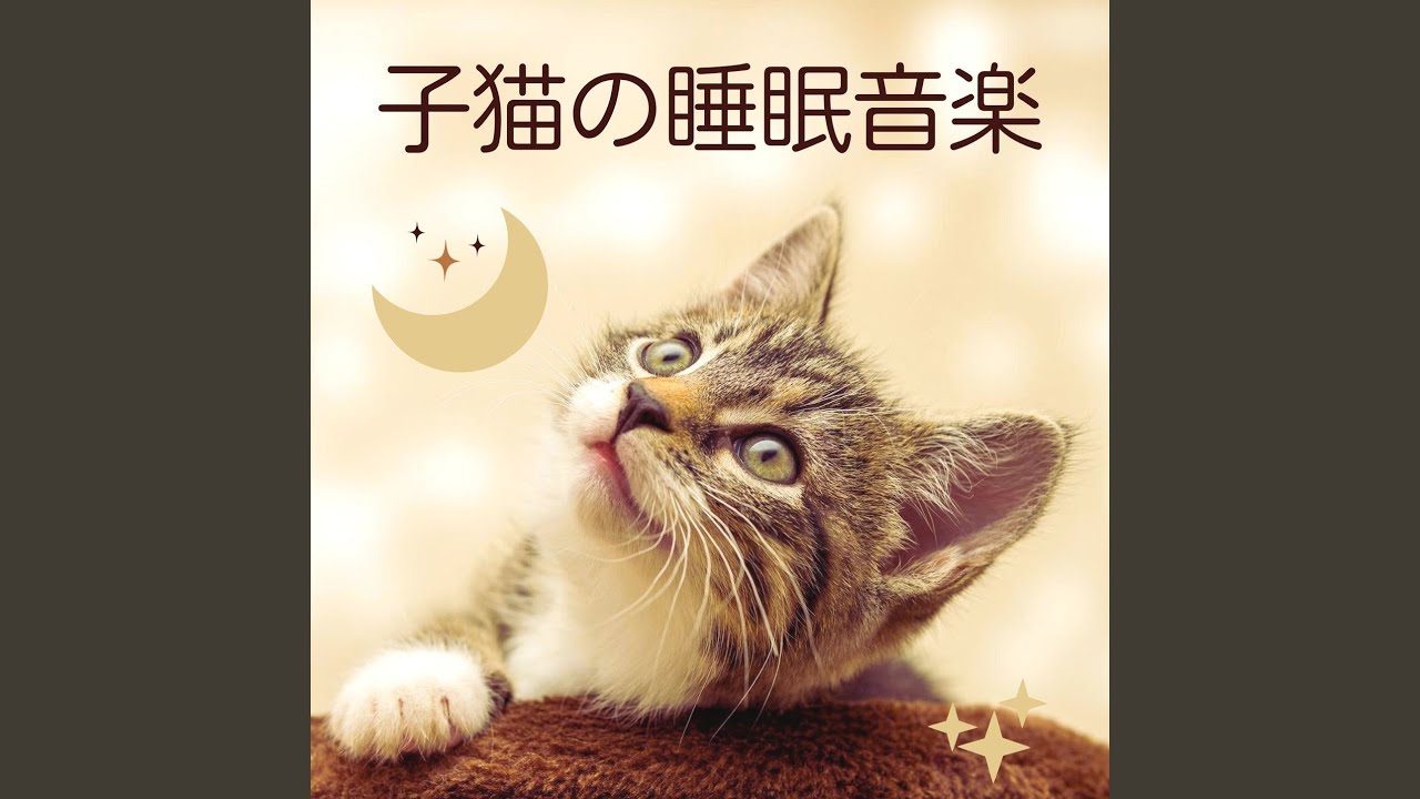 Regardez ペット安らぐ効果 sur YouTube