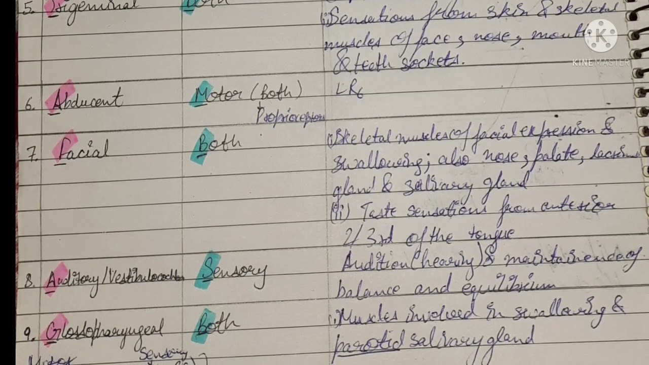 Cranial Nerves | Meddict-a budding doctor