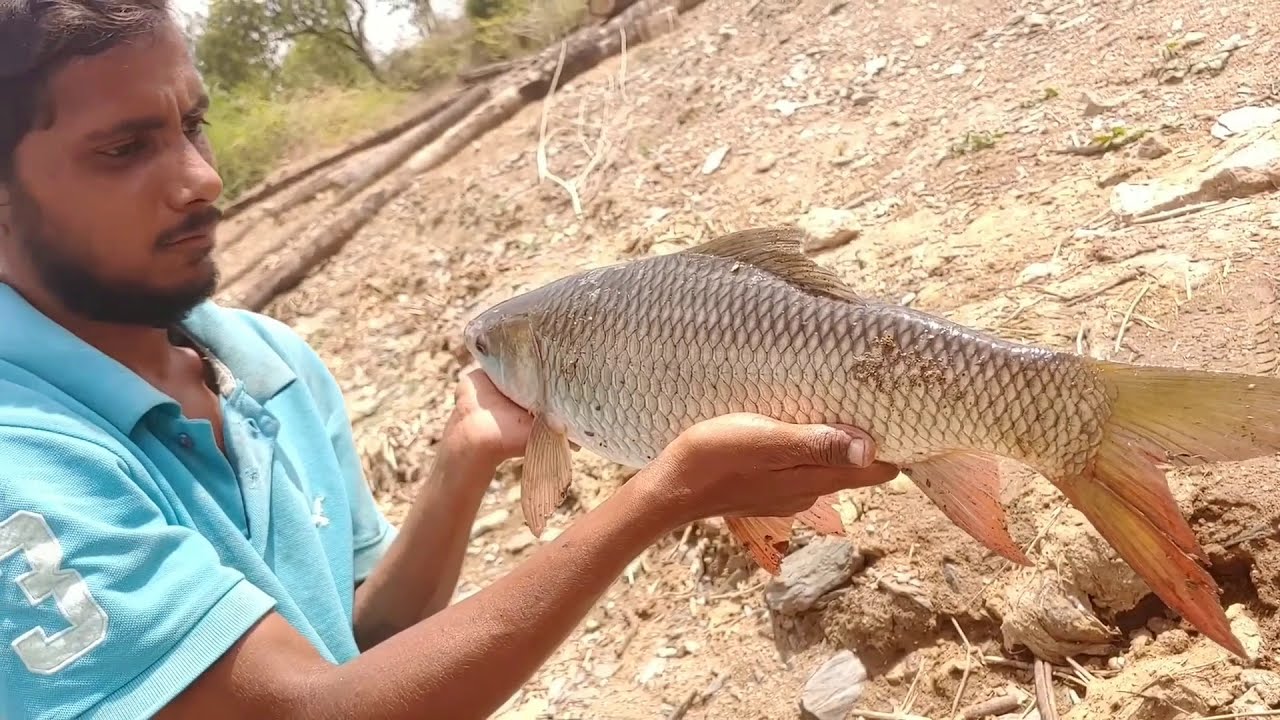 Aziz Fish Best Rohu Fishing videos || Abdul Aziz Fishing - YouTube