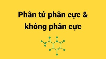 Phân tử phân cực & không phân cực - Hóa Học - Tập 23| Tri thức nhân loại