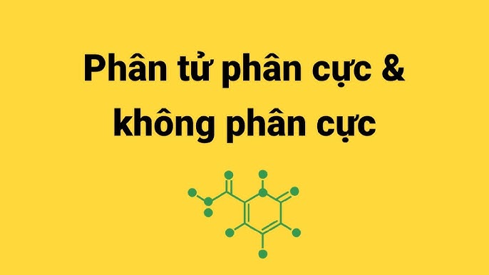 Bài tập 9: Mối quan hệ giữa tính phân cực và phản ứng hóa học của glucose