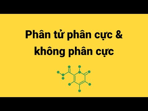Video: Công thức nào của phân tử không phân cực có chứa liên kết không phân cực?
