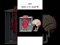 2026 ✨ Brain🧠 vs Heart❤️😁 Wait for end 😅