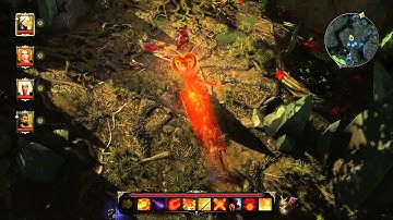 Divinity original sin enhanced edition -  Imal the Squealer -