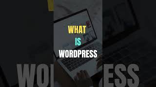 What is WordPress? And How Does It Work?