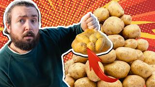 Was kocht man aus 5 KG KARTOFFELN?