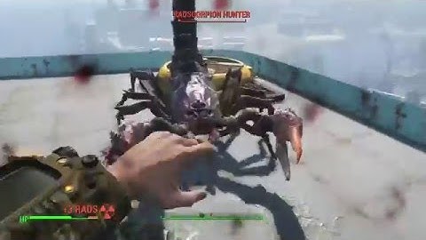 Fallout 4 - Radscorpion Fistfight
