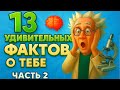 Блиц-факты о человеке. Часть 2-я!🧠