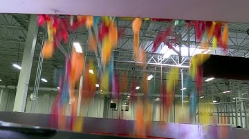 How Scandinavian Swimmers Are Made | Trader Joe