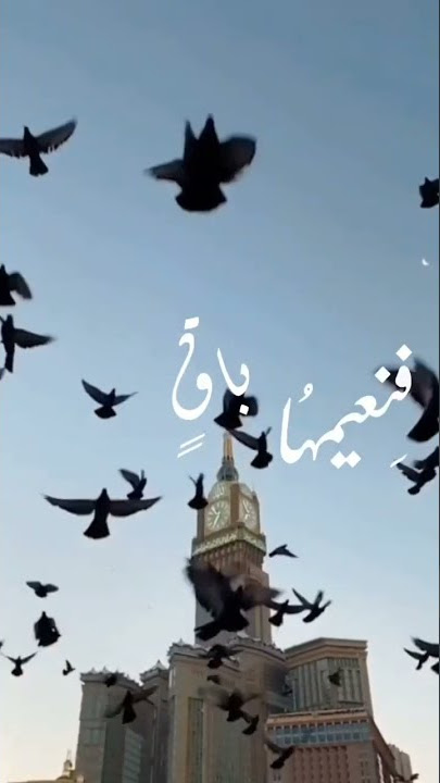 هي جنه طابت وطاب نعيمها⛅❤️❤️🕊️