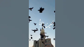 هي جنه طابت وطاب نعيمها 