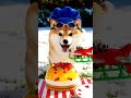 Chef ChangAn Shiba Citrus Jelly Cookie, So Wobbly and Wow 🐶🍊 #Shorts