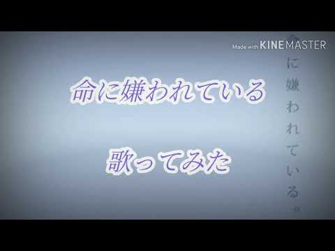命に嫌われている　:音痴:が歌ってみた